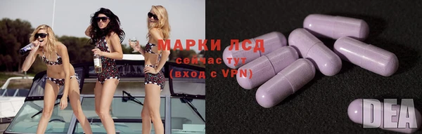 трава Аркадак
