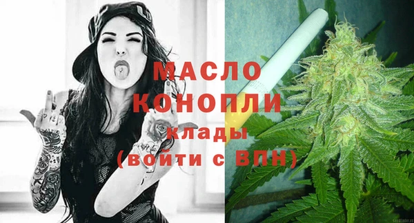 молекула духа Арсеньев