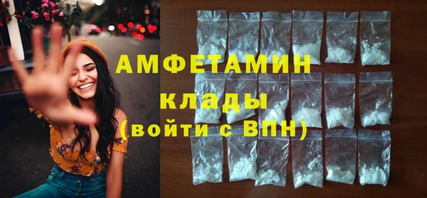 молекула духа Арсеньев