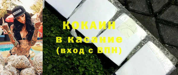 молекула духа Арсеньев